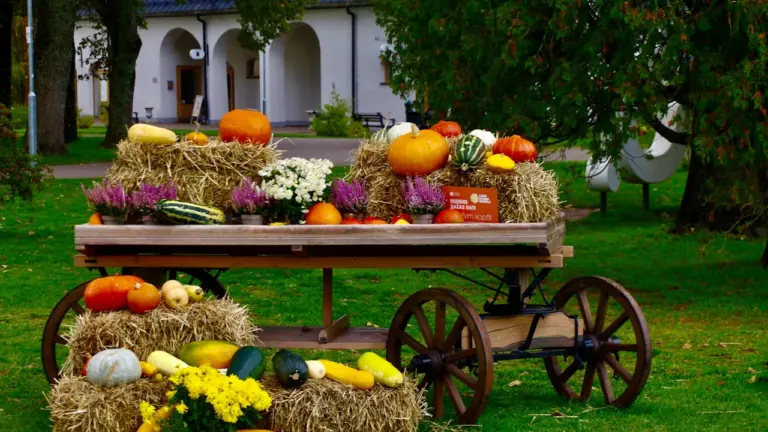 Miķeļdiena 29. septembrī: baznīcas datums un rudens tradīcijas