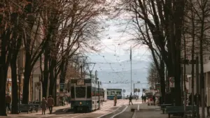 Tramvaja satiksme Cīrihes ielā ar kokiem un mierīgu pilsētas noskaņu oktobra dienā.